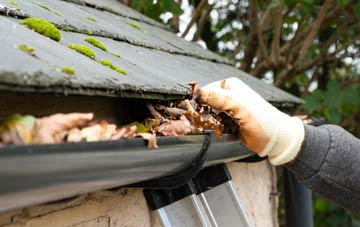 gutter cleaning Dundon Hayes, Somerset