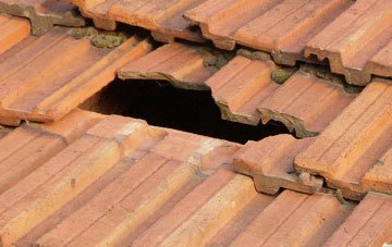 roof repair Dundon Hayes, Somerset