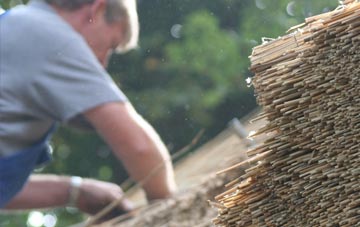 professional Dundon Hayes thatchers