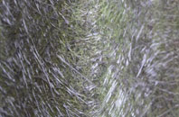 Dundon Hayes fibreglass roof work